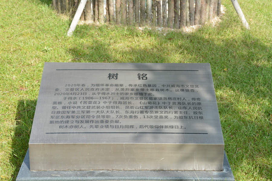 DSC_3729_调整大小.JPG